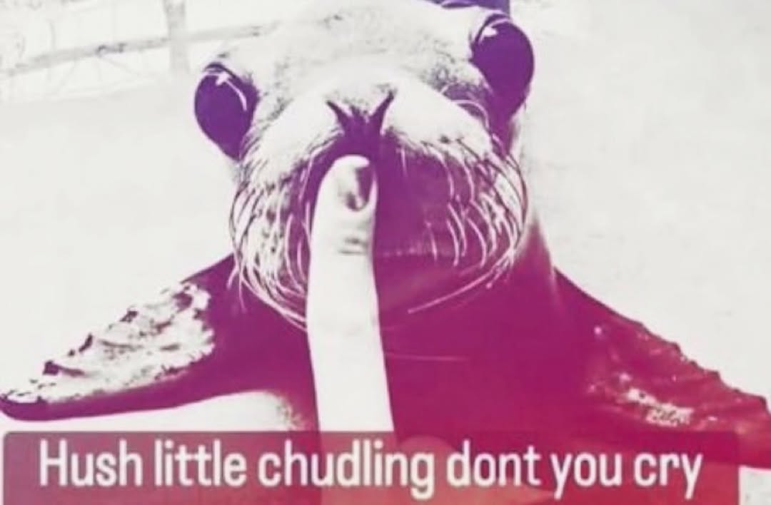 brainrot dimension (@brainrotpostig) on Twitter photo 