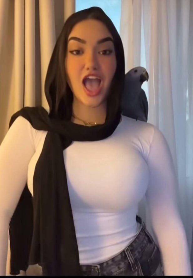 ismaiilozz tweet media