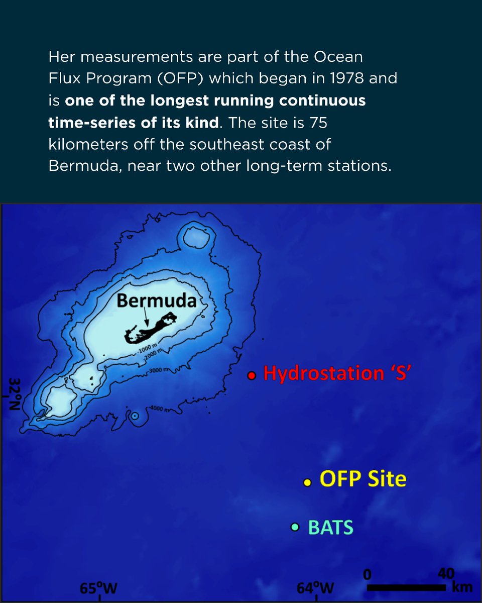 Marine Biological Laboratory (MBL) tweet media
