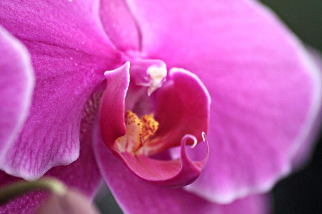 CompassandFork's tweet image. Getting sick can ruin your vacation! Healthy Travels: What you Need to Know bit.ly/2tgzbz4 #traveltips #travelskills #healthy