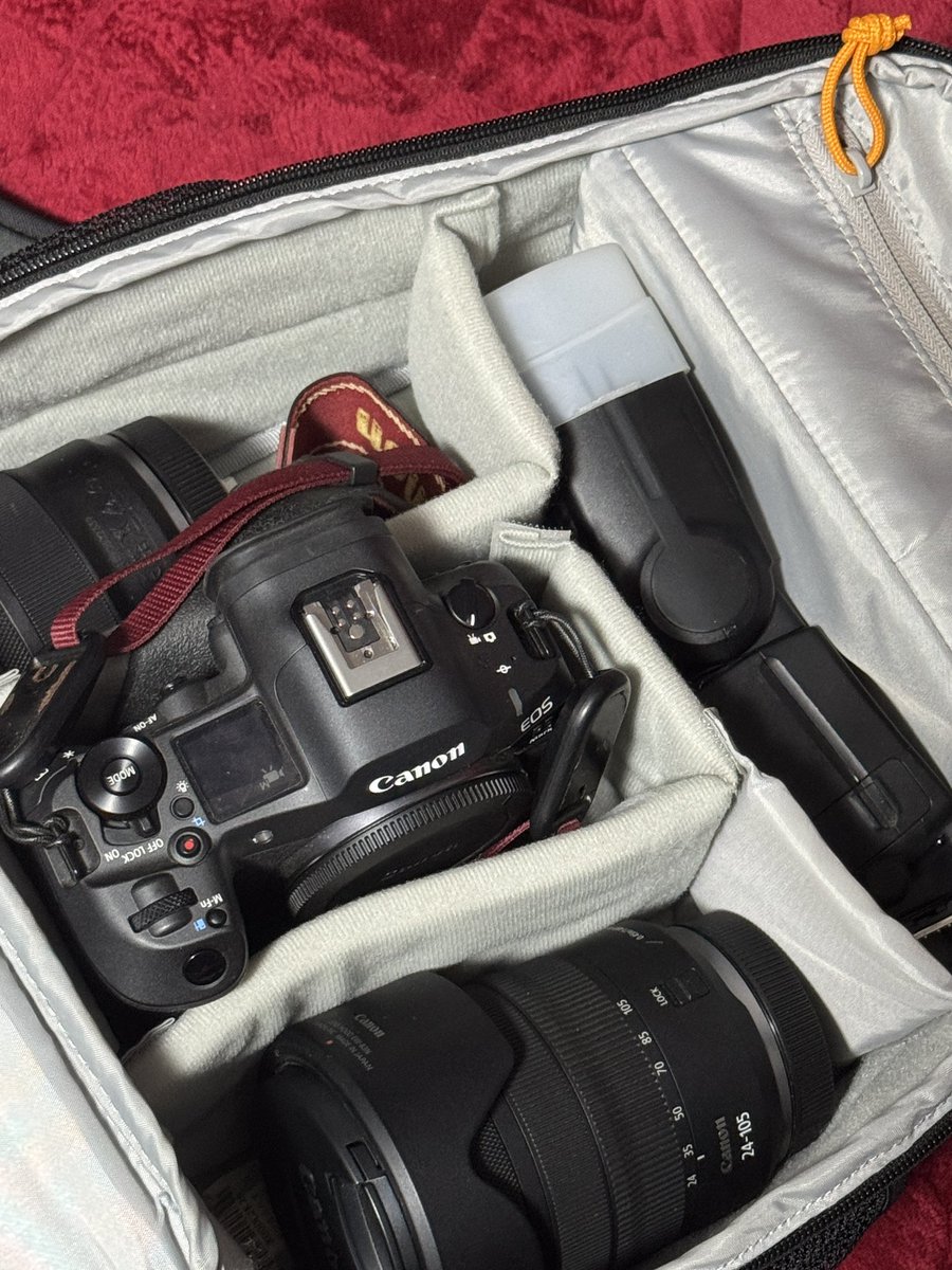 ホール＆大津 tweet media