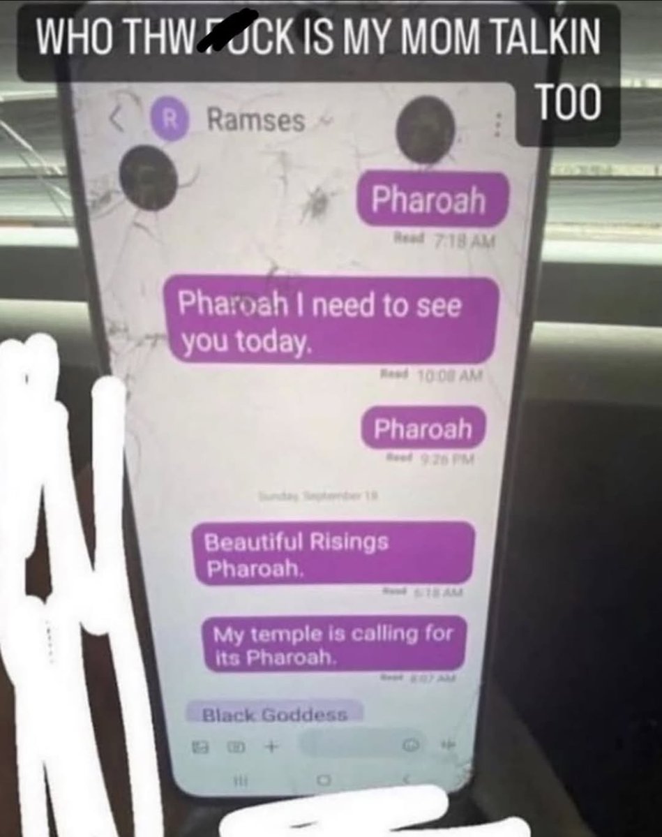 brainrot dimension tweet media