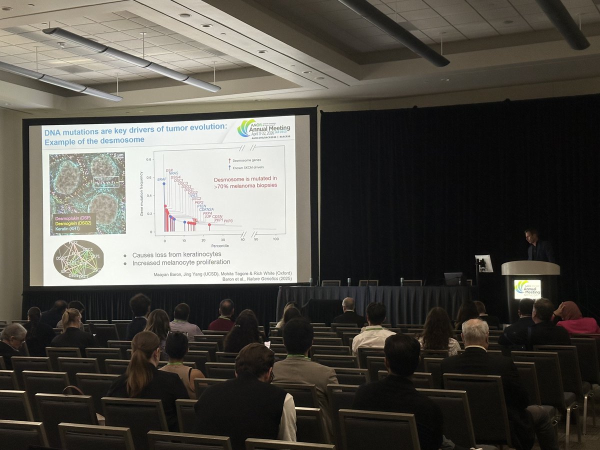 SU2Cscience's tweet image. Building foundation models of the tumor genome with @TreyIdeker from @UCSDHealth at @AACR AM 2026. Dr. Ideker utilized #ProjectGENIE data to predict tumor evolution and to predict responses to #immunotherapy and chemotherapy. #AACR26 #SU2C