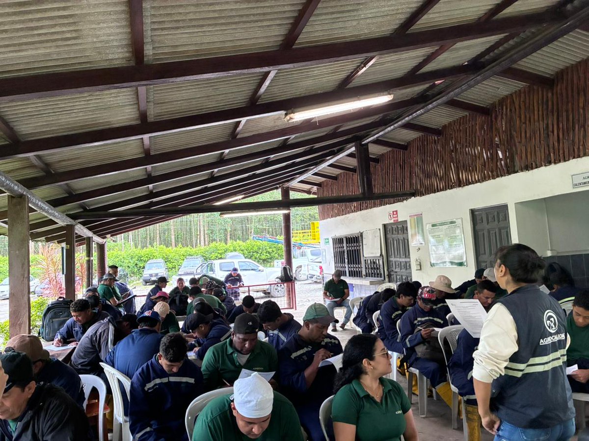 AgrocalidadZ4's tweet photo. #SantoDomingo | Realizamos capacitación a colaboradores de la empresa Agroeden en el buen uso y almacenamiento de plaguicidas, promoviendo la protección de la salud, el cuidado del ambiente y la producción agrícola responsable
#AgrocalidadCapacita https://t.co/EvmAKTnNek