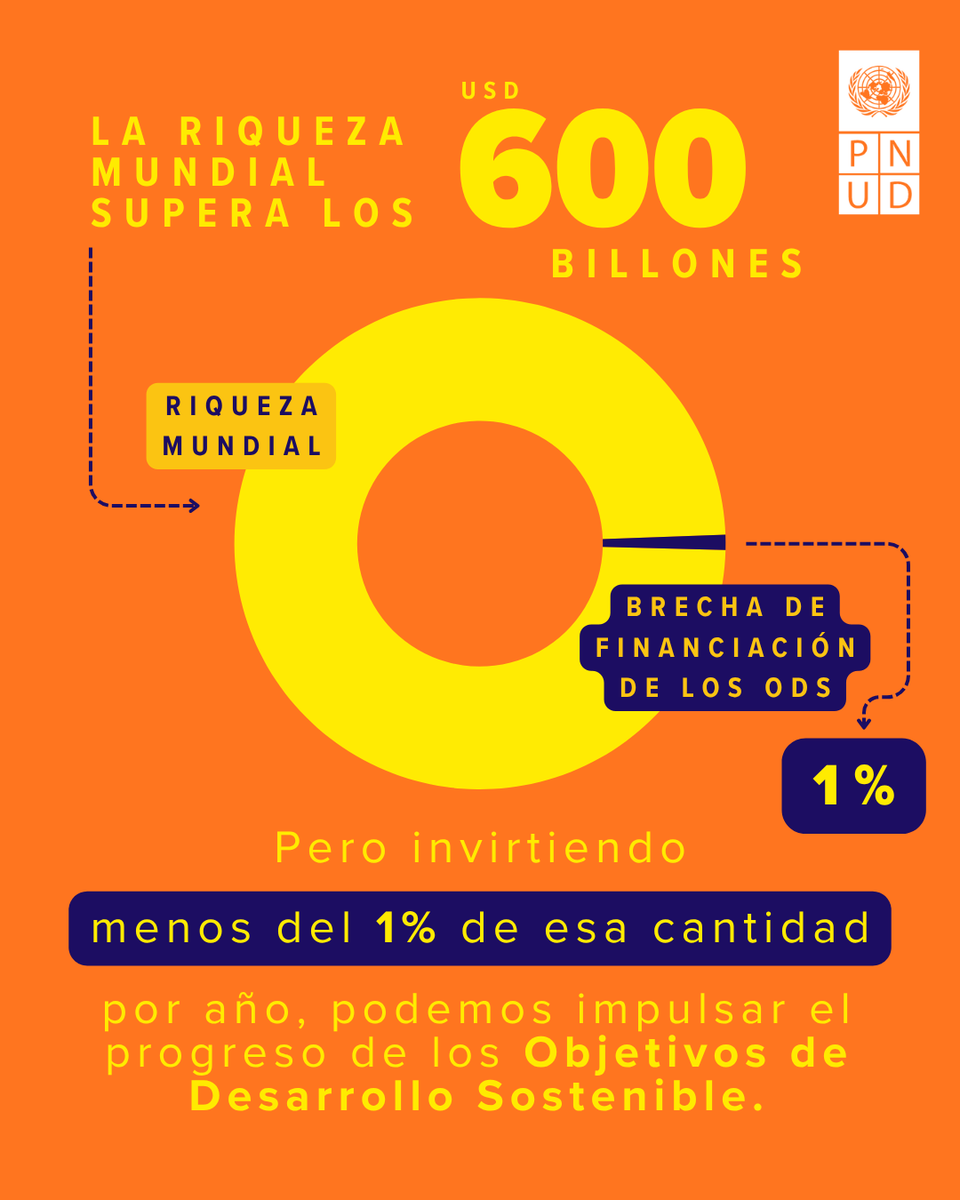 ONU Desarrollo tweet media