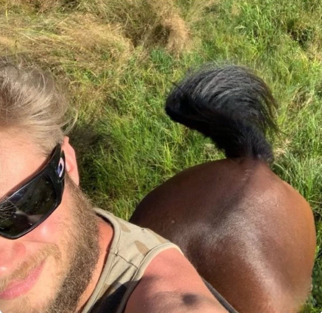 rom ⋆✴︎˚｡⋆ tweet media