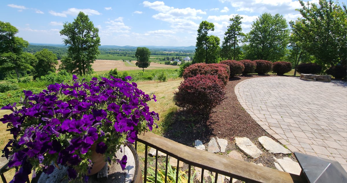 DestGettysburg's tweet image. Spring views in Adams County are hard to beat 🌸 

#gettysburg #visitpa #springtime