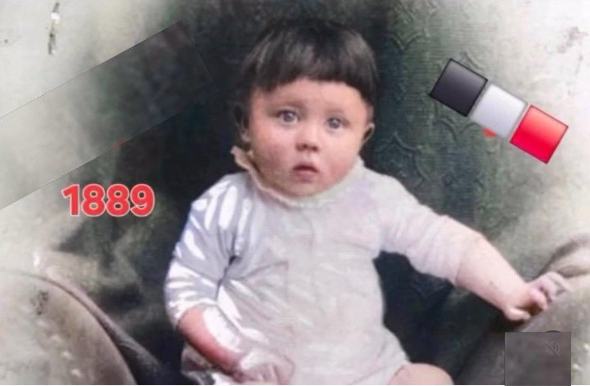 Truth Troll Official™️ tweet media