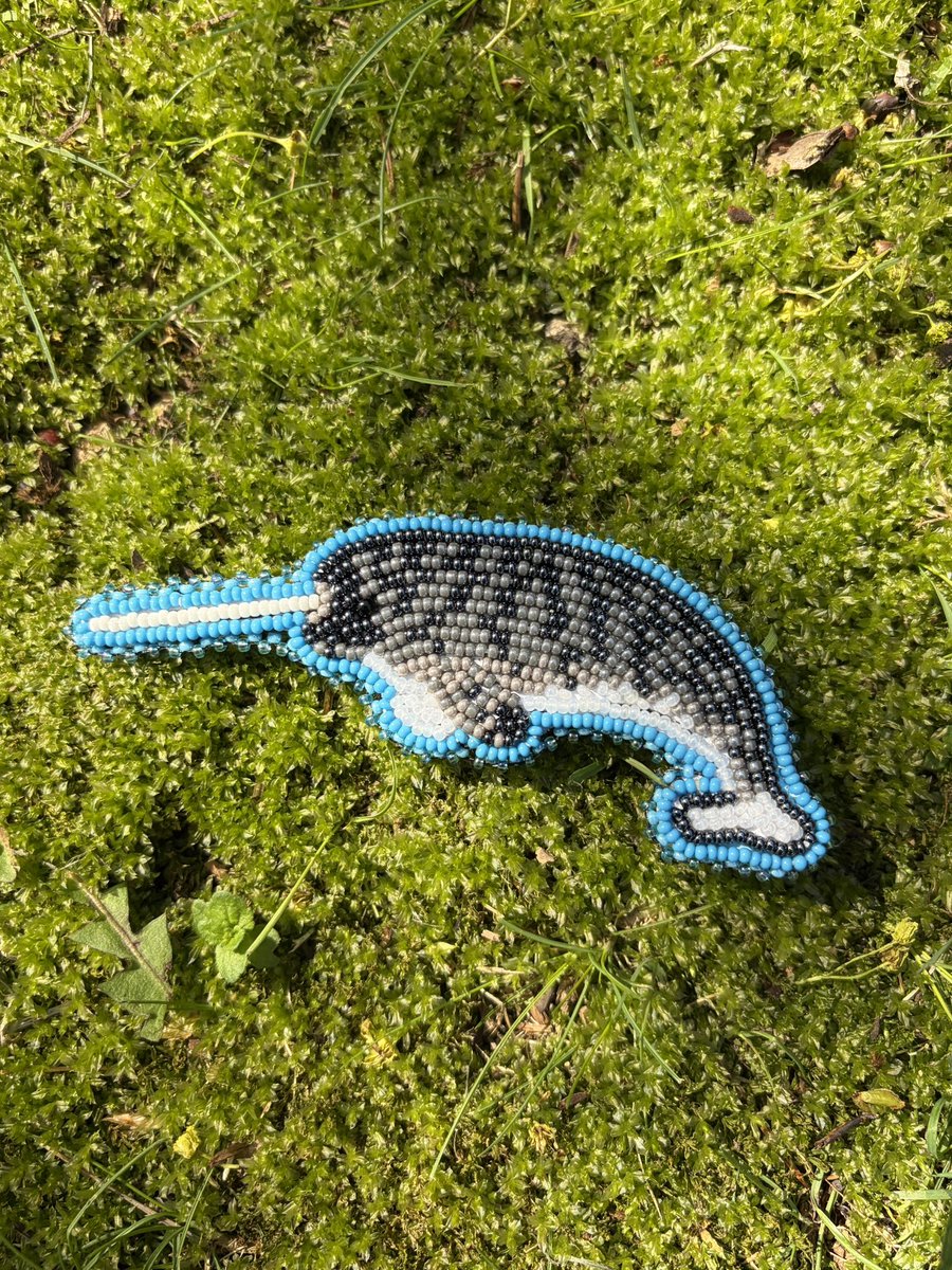 Ko ⊹⋆˚𝜗𝜚˚⋆ tweet media