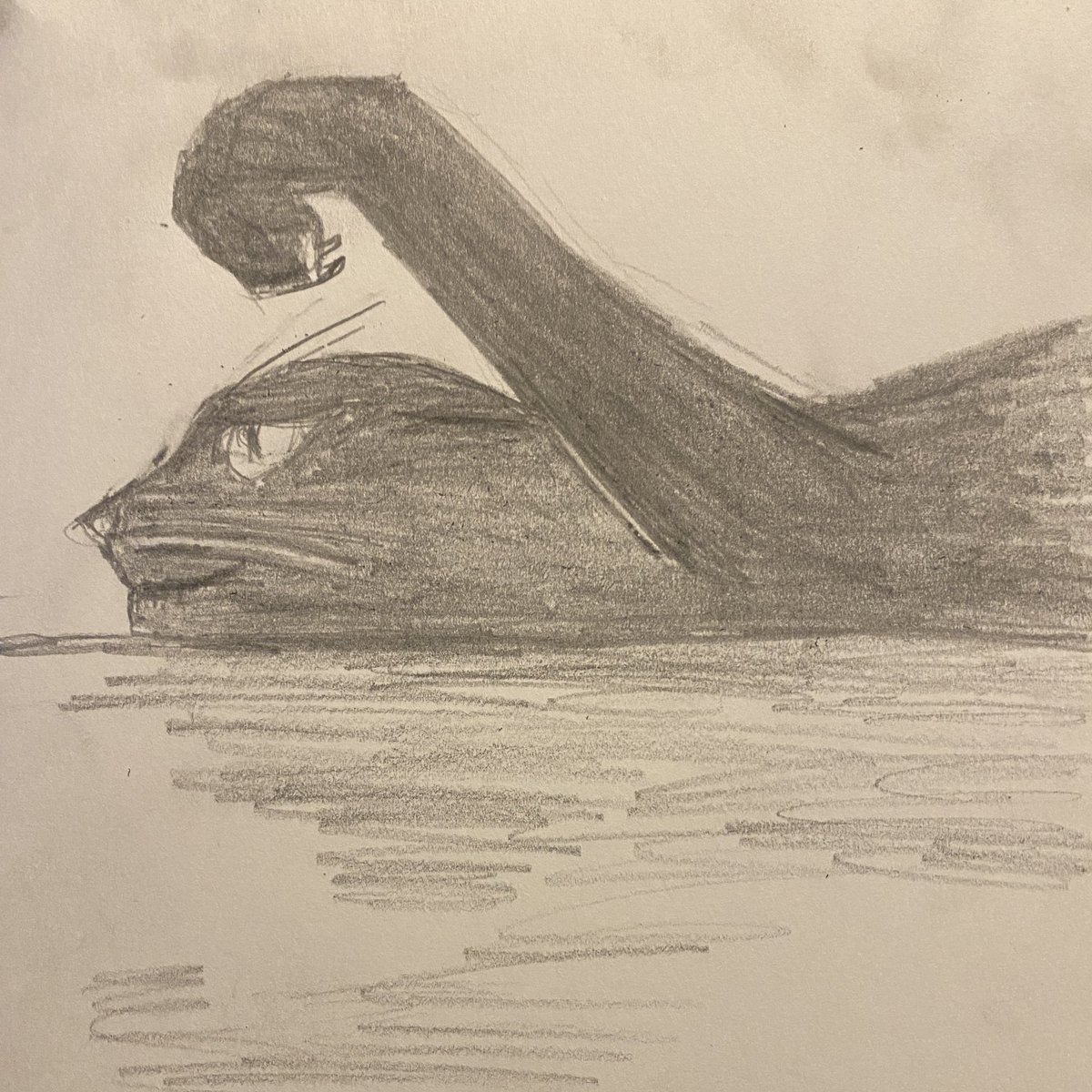 Charcoal looneys #charcoal #sketchbook #sailboat #cat