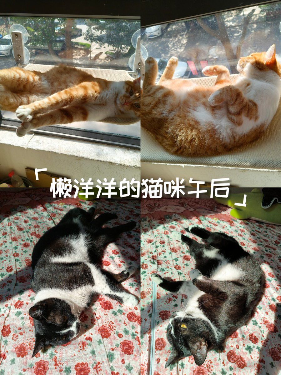 Florian Cleyet-Merle tweet media