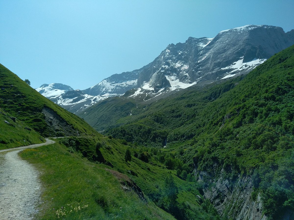 Jan sleeping eyes of the dumps ! tweet media