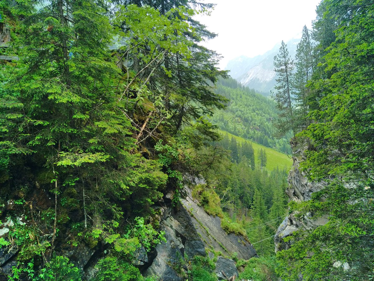 Jan sleeping eyes of the dumps ! tweet media