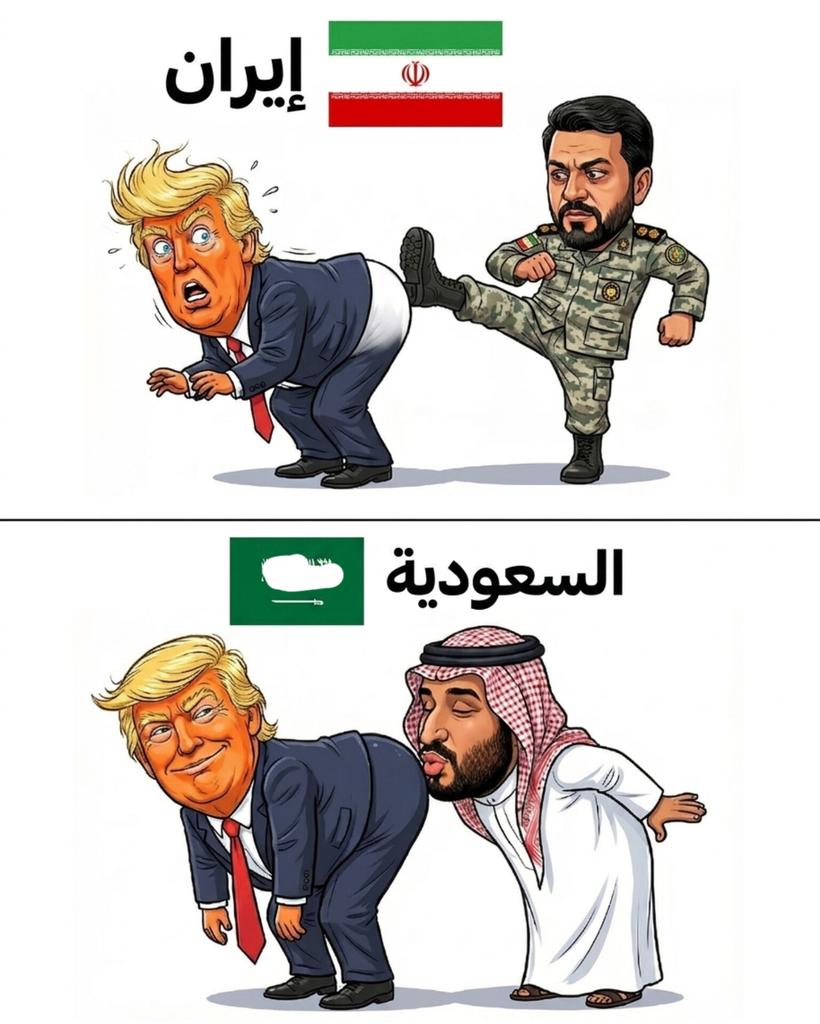 انهار الصنعاني tweet media