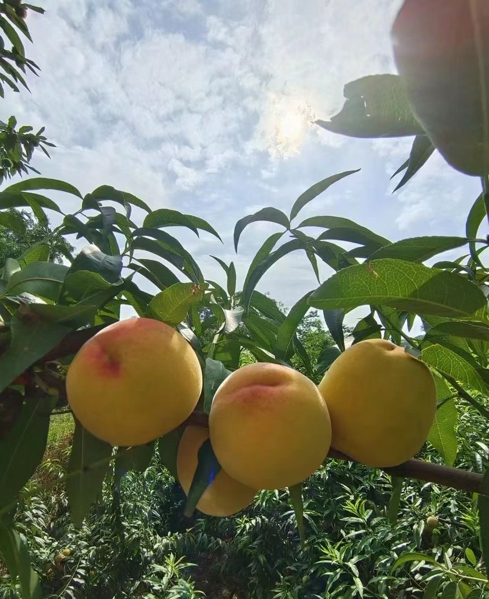 Надежда Ковинька tweet media