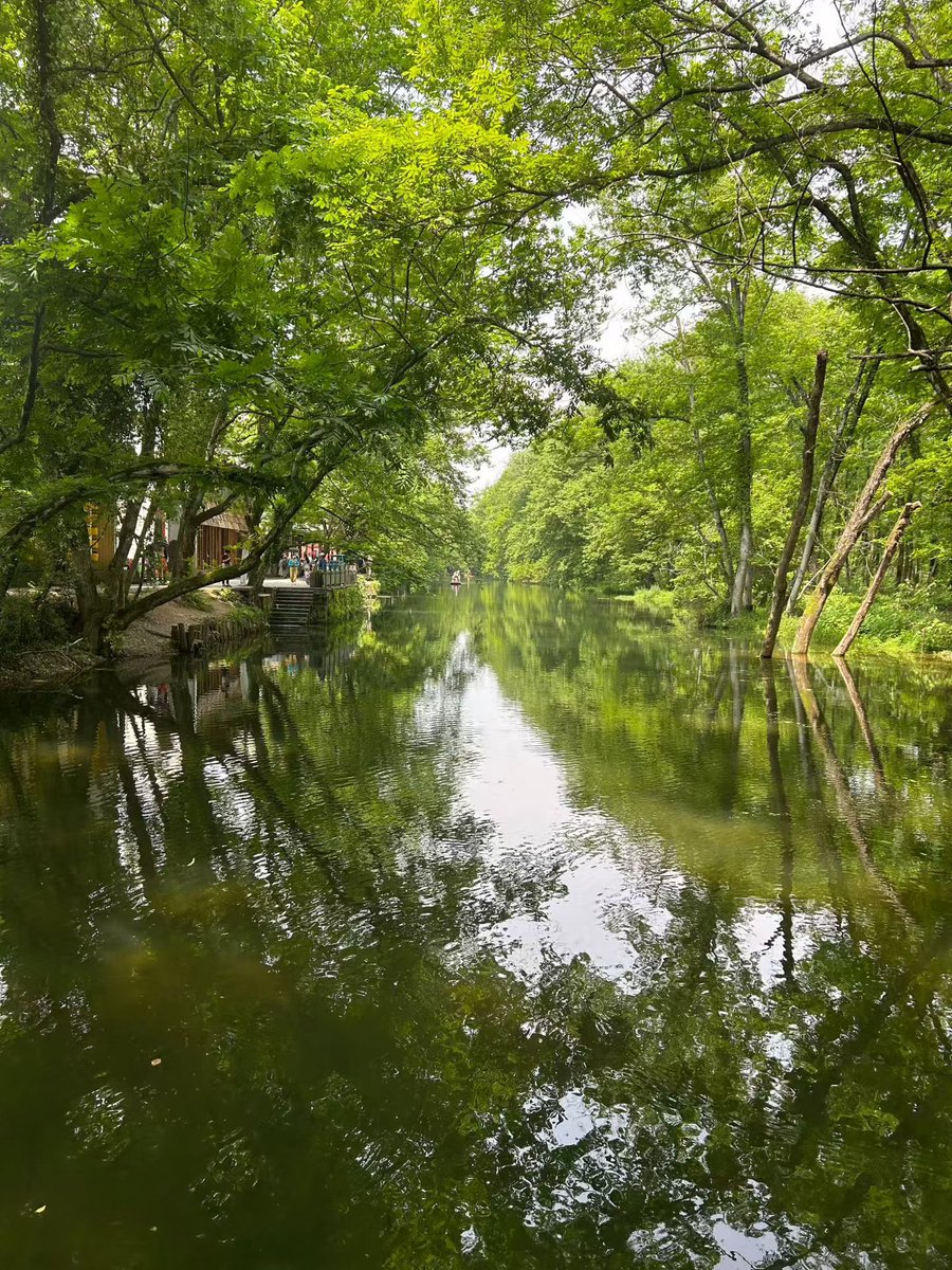 HuangshanGolf's tweet photo. In Xixinan, Huangshan, a wooden bridge crosses the clear stream beneath a canopy of green, creating a real-life fairytale scene like the Emerald City. #Huangshan #Xixinan #EmeraldScenery #Huizhou #WoodenBridge #StreamView #ChinaTravel #NatureLovers #YellowMountain https://t.co/0tY3e0fLnQ
