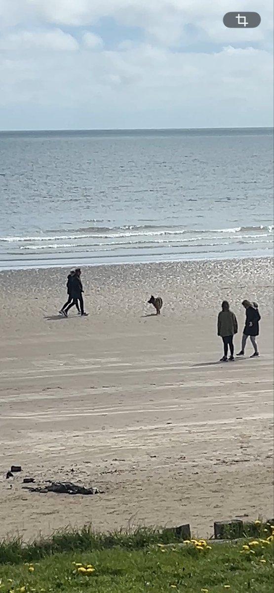 accountability101 tweet media