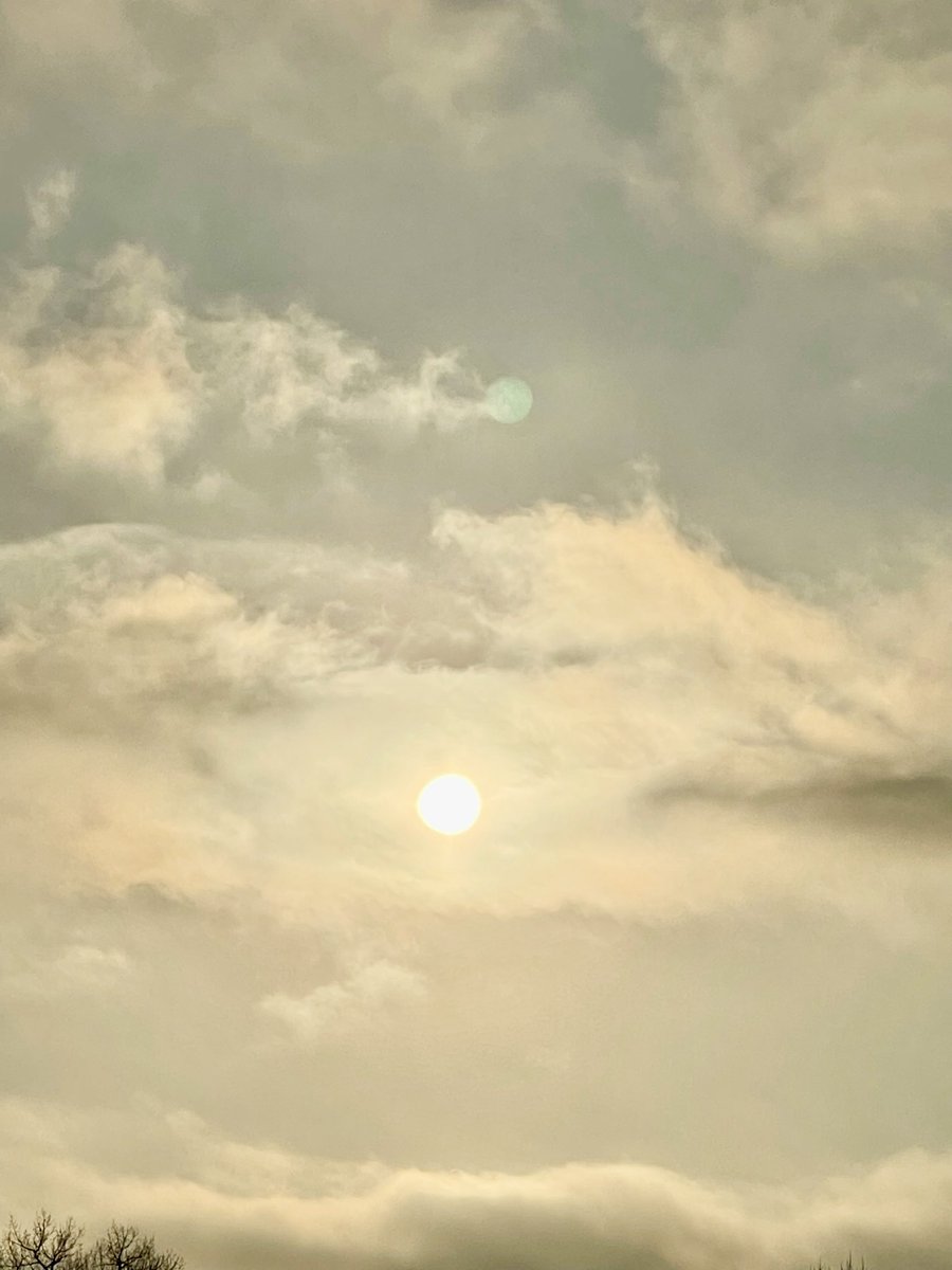 BrooklynMorganJ's tweet image. in darknesses face

my light shines even brighter 

i am
brooklynmorgan
#inspire #kindness #poetry