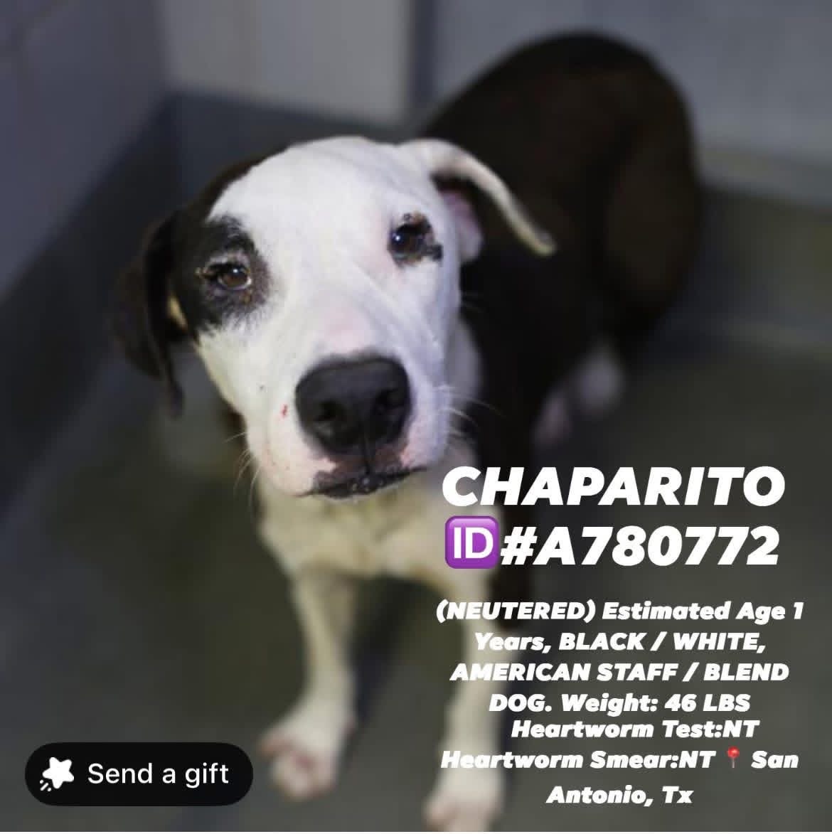 Fionaismybitch tweet media