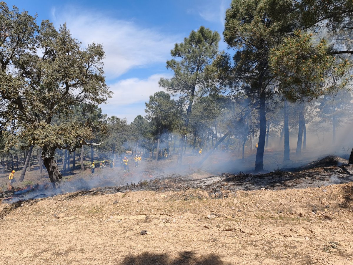 JaviPOlivares's tweet photo. Hoy y mañana tenemos al @wtrexquijota realizando quemas prescritas en la provincia de Ciudad Real. Muy agradecidos por la elección de nuestra provincia para llevar a cabo su programa de formación e intercambio de experiencias en esta materia. #RxFire #IIFF https://t.co/DTAXsy6C9y