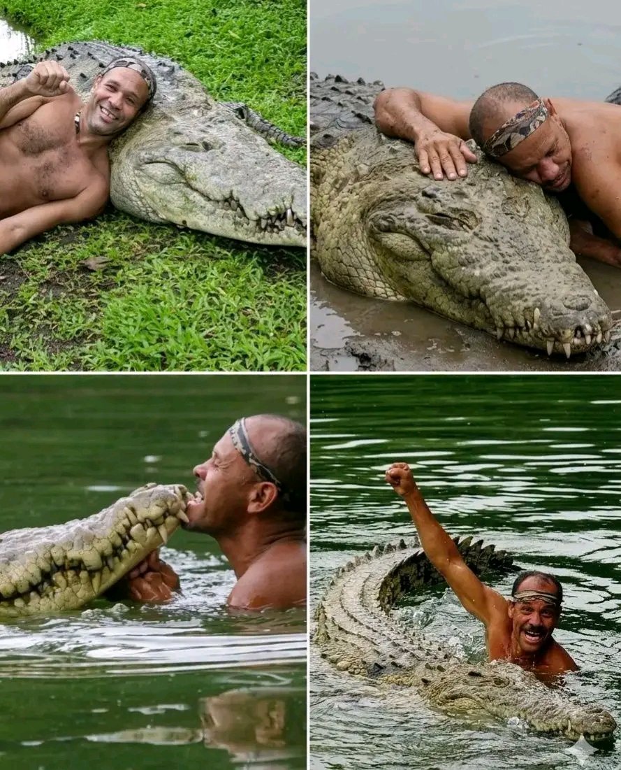 Questa storia, è  di un pescatore costaricano di nome Gilberto Chito Shedden, che nel 1989 si imbatté in un coccodrillo che era stato colpito alla testa e scelse di salvarlo. 

Dopo aver curato con attenzione l’animale fino alla guarigione, alla fine lo liberò in natura.

Ma