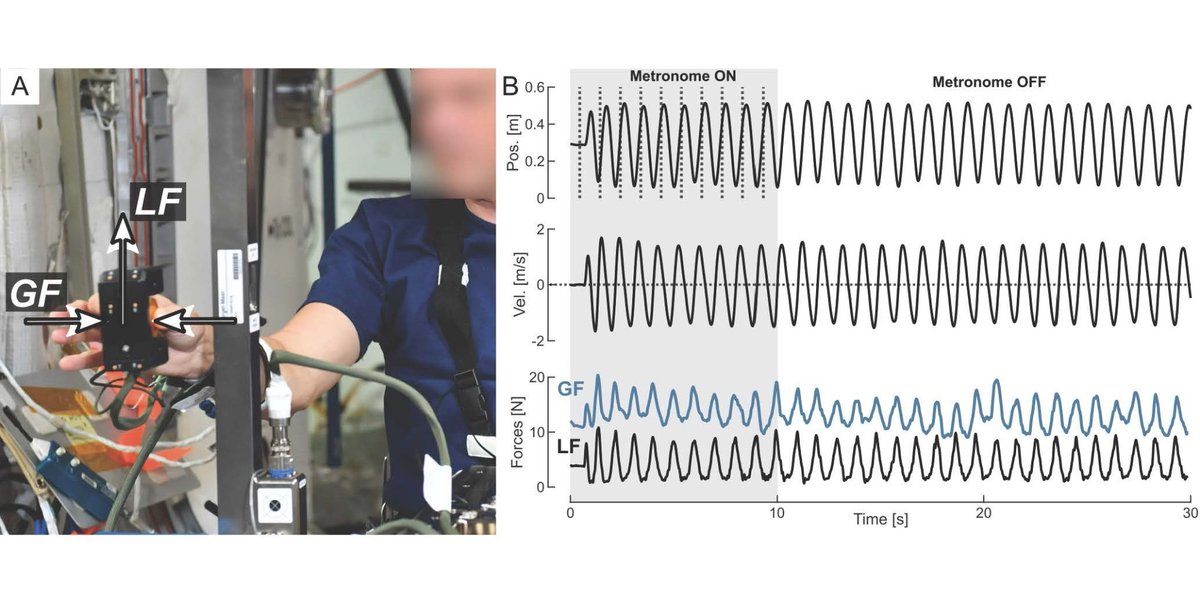 SfN Journals tweet media