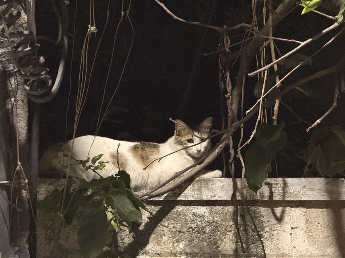 Adithya Krishna tweet media