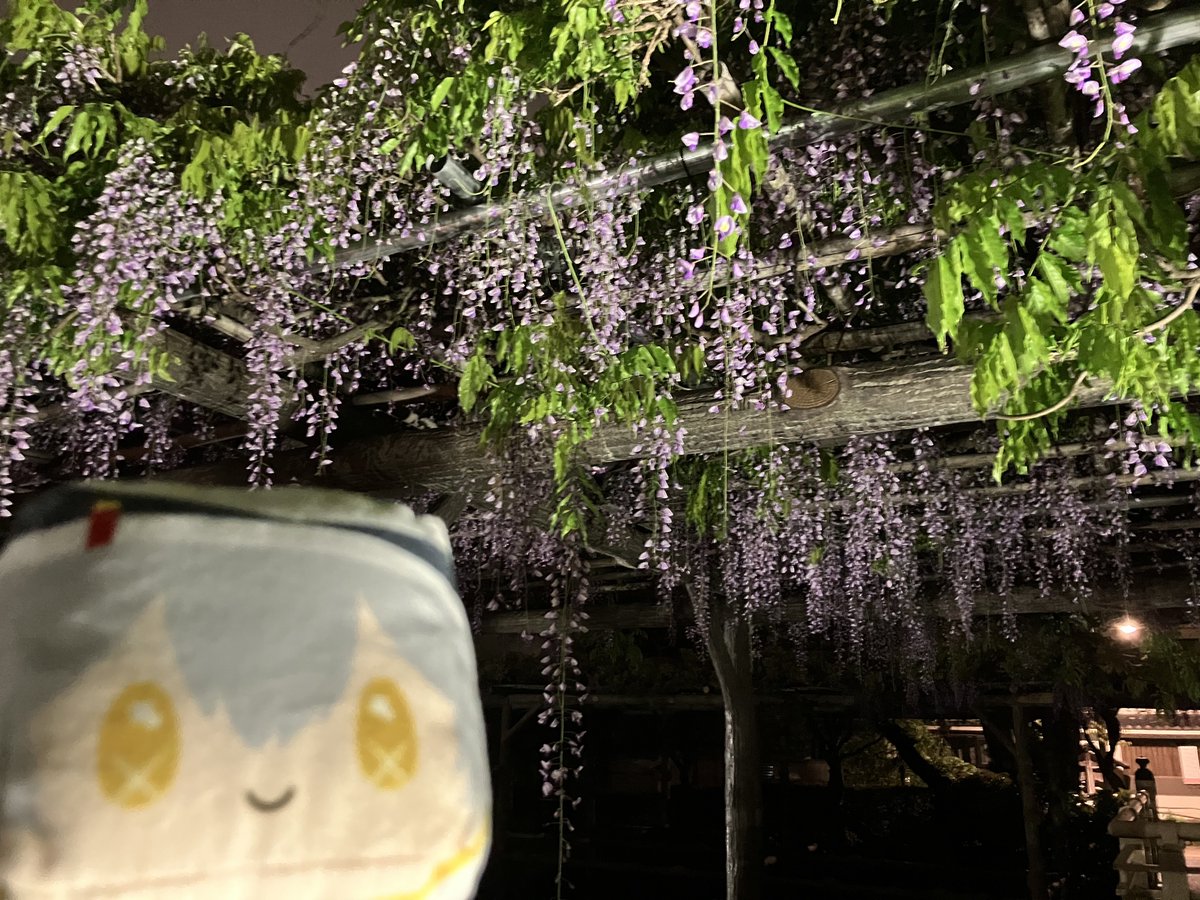 ひなた tweet media