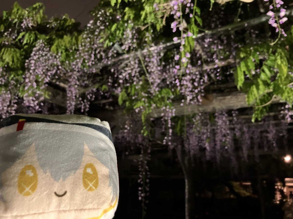 ひなた tweet media