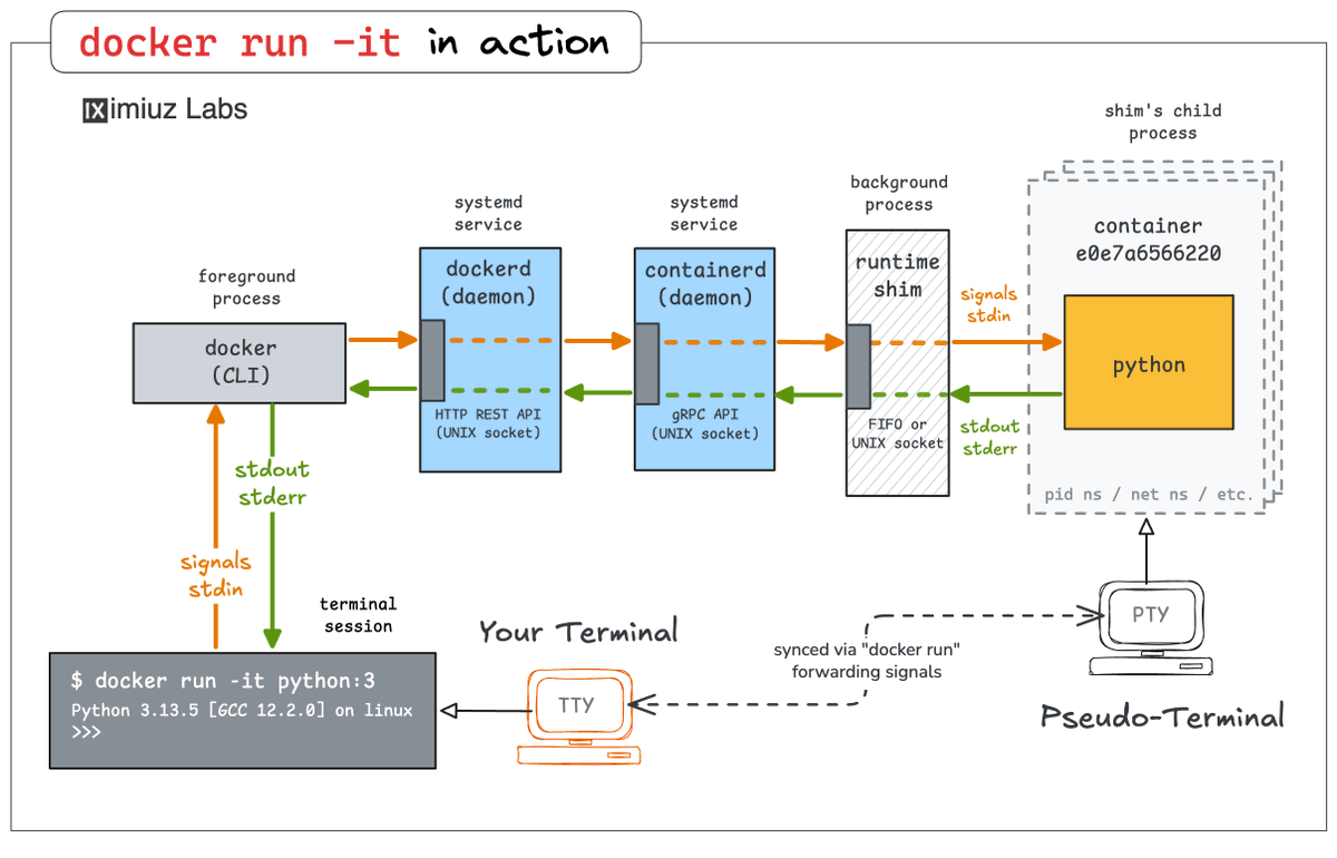 Docker 101: Running Interactive Containers 🐳 Every time you use docker ...