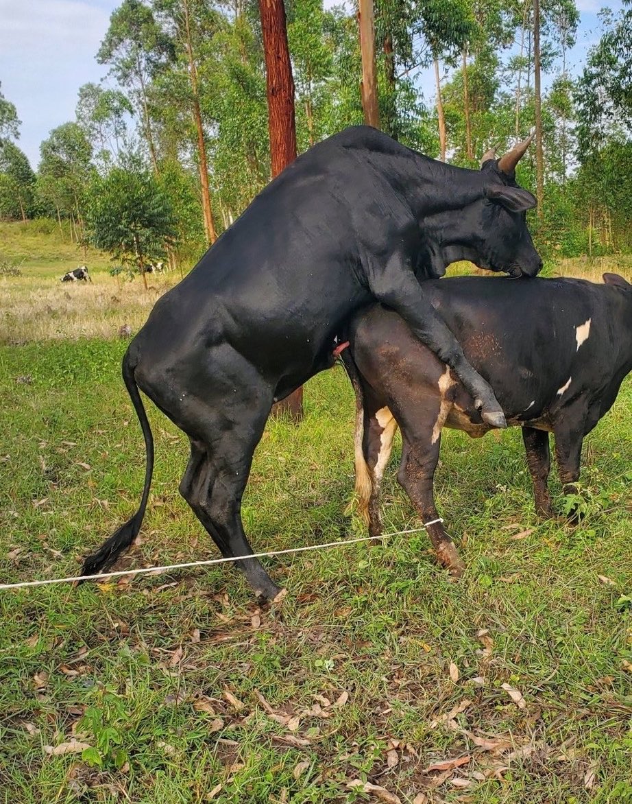 Anselm🇺🇬 tweet media