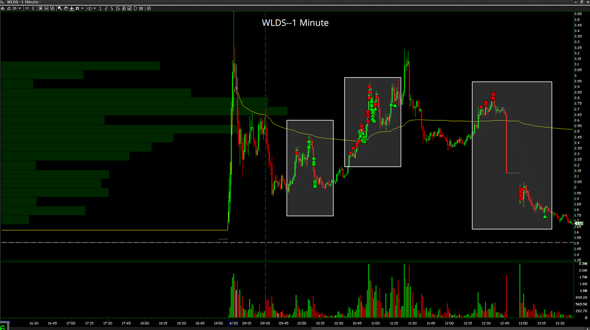 Esteban L. tweet media