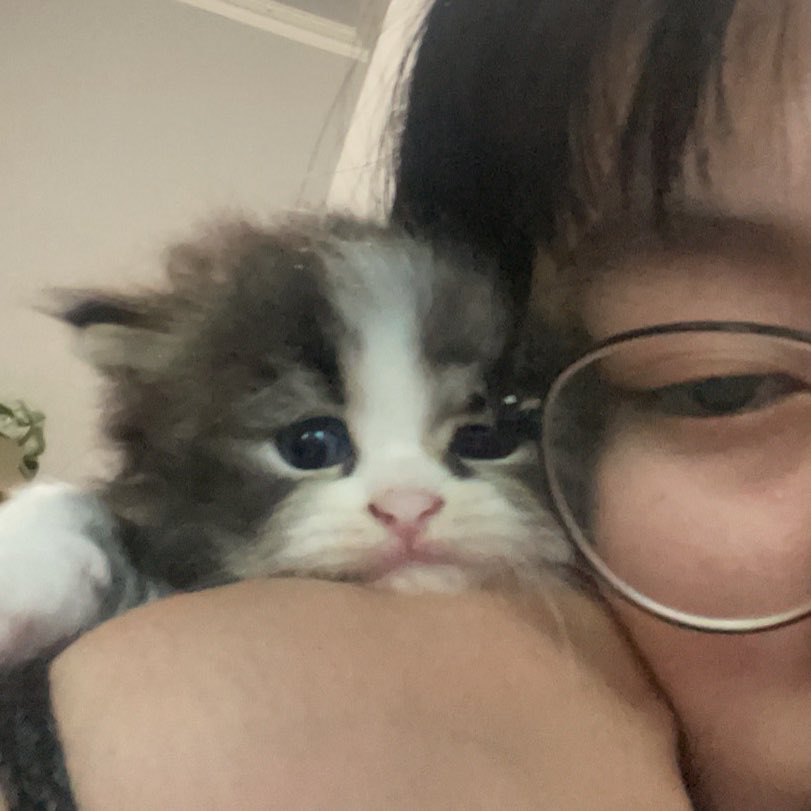 Della ⟢ tweet media