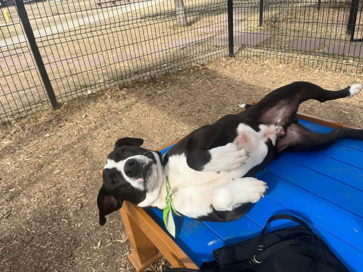 Fionaismybitch tweet media