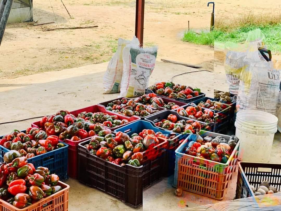 Baale of Milan🔴⚫ tweet media