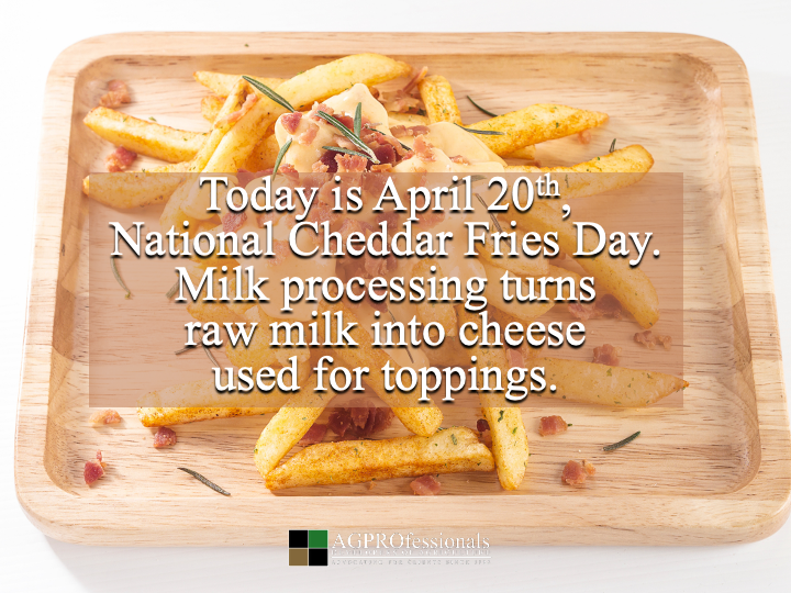AGPRealEstate's tweet image. Cheddar fries = ag 🍟🧀

Potatoes
Milk
Livestock
Crops

All in one dish
#CheddarFriesDay #Ag #FarmToTable #DairyFarming #PotatoFarming #FoodAgriculture #AgLife