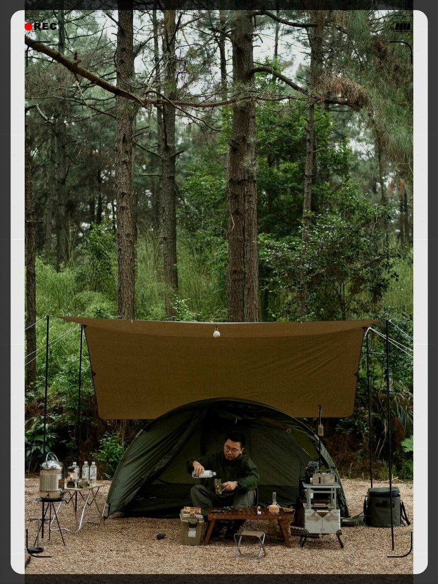 Toni Jarman tweet media