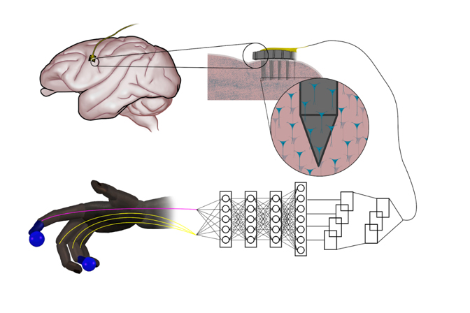 CTT_Journal's tweet image. 🔹 Now introducing Series 5: Machine Learning &amp;amp; Data-Driven Control

🤖📊 What happens when control theory meets modern machine learning?

⚙️ This #Thread highlights how data-driven methods—from pattern recognition and predictive modeling to deep reinforcement learning—are