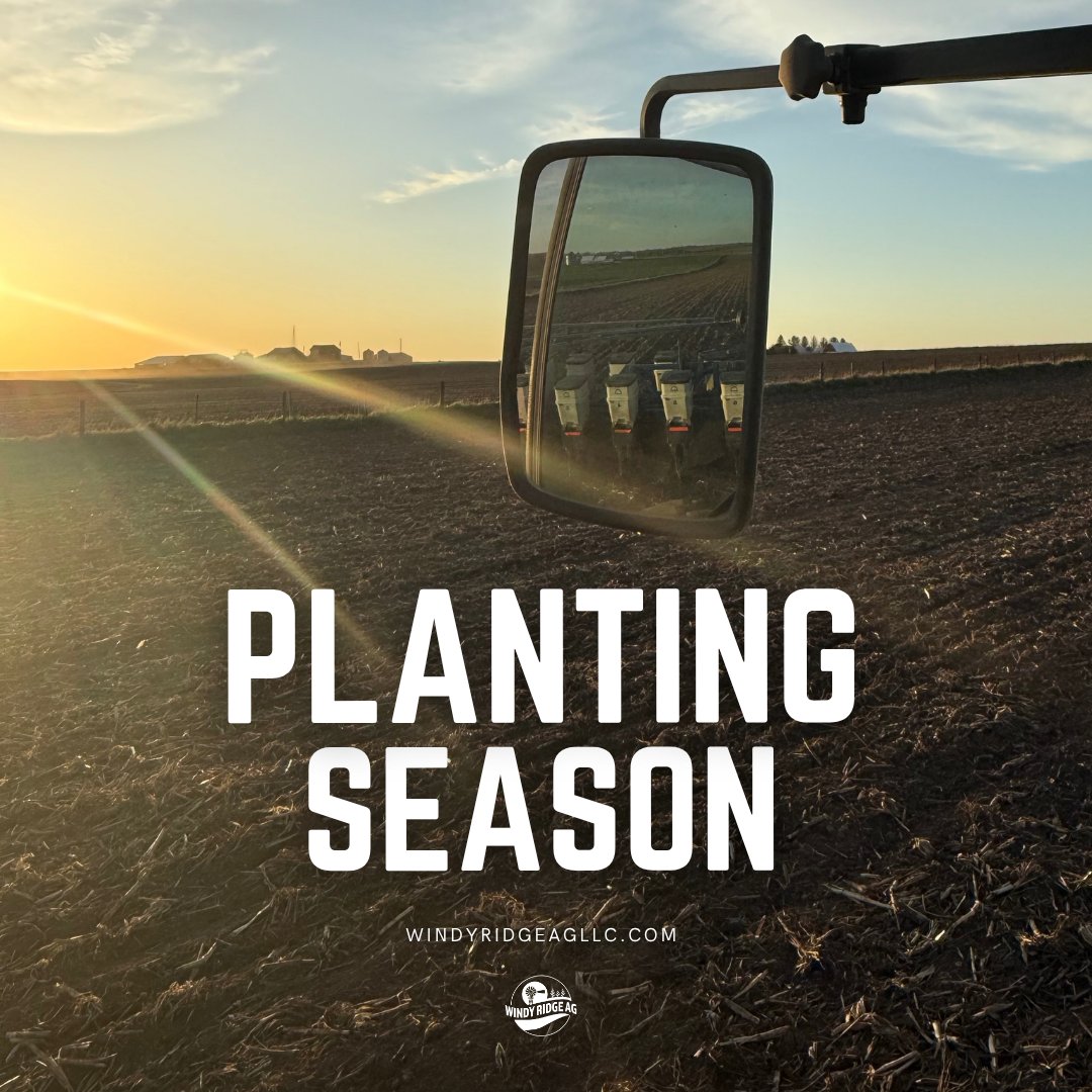 WindyRidgeAgLLC's tweet image. Long days, early mornings, and plenty of time in the tractor - it's one of the busiest times of the year for farmers. Every pass across the field is another step toward the season ahead.

Wishing everyone a safe and successful planting season.

#PlantingSeason #WindyRidgeAg