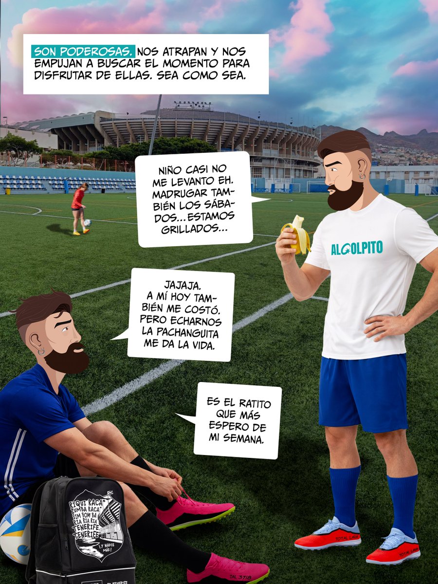 ElTípicoDeTenerife tweet media