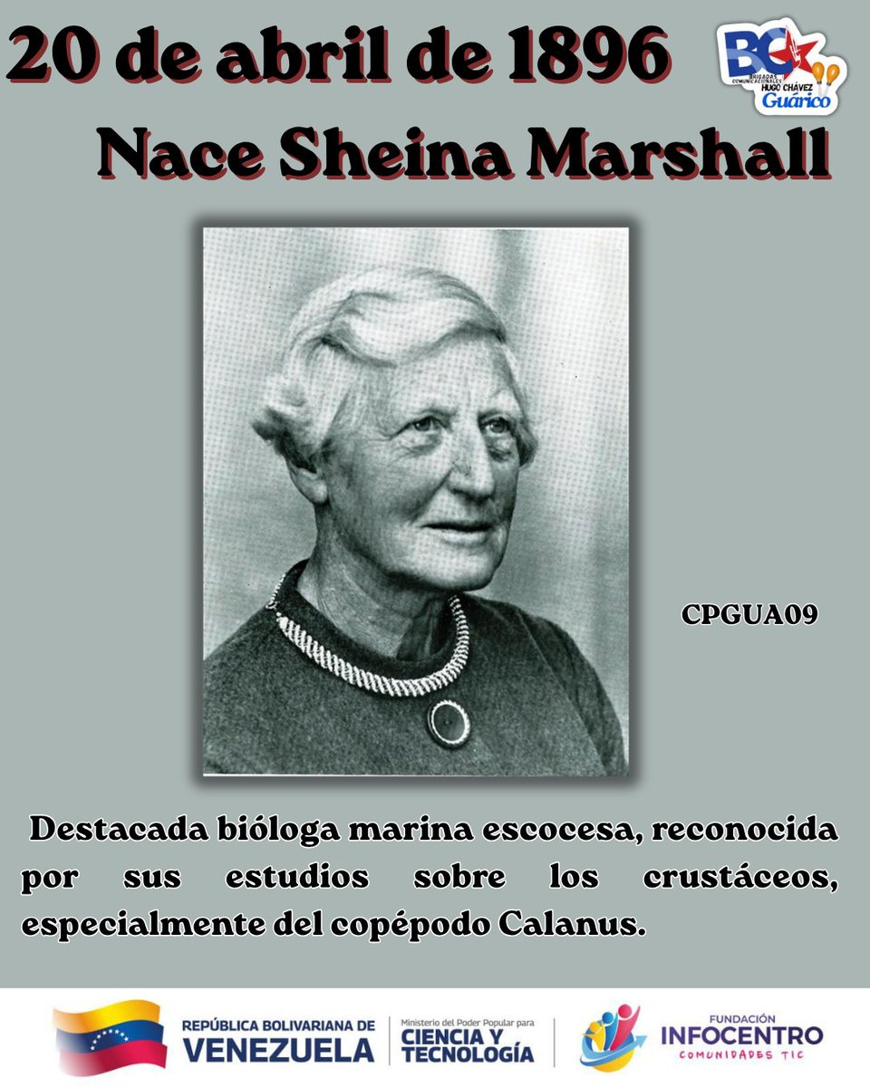 InfocentroJose's tweet image. ¡Hoy nace una leyenda del mar! 🌊 Sheina Marshall (1896-1977), la bióloga que descifró los secretos del plancton. 🔬🦐
Pionera en la Royal Society y experta mundial en el copépodo 'Calanus'. Sin ella, no entenderíamos igual la vida oceánica. 🧬✨
#SheinaMarshall #WomenInSTEM