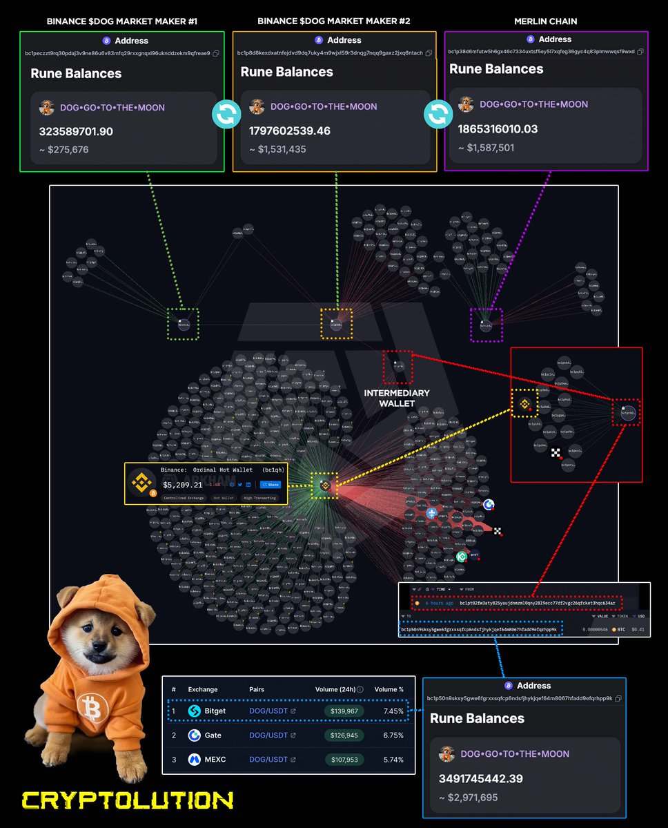 Vincent (Cryptolution) 👑 tweet media