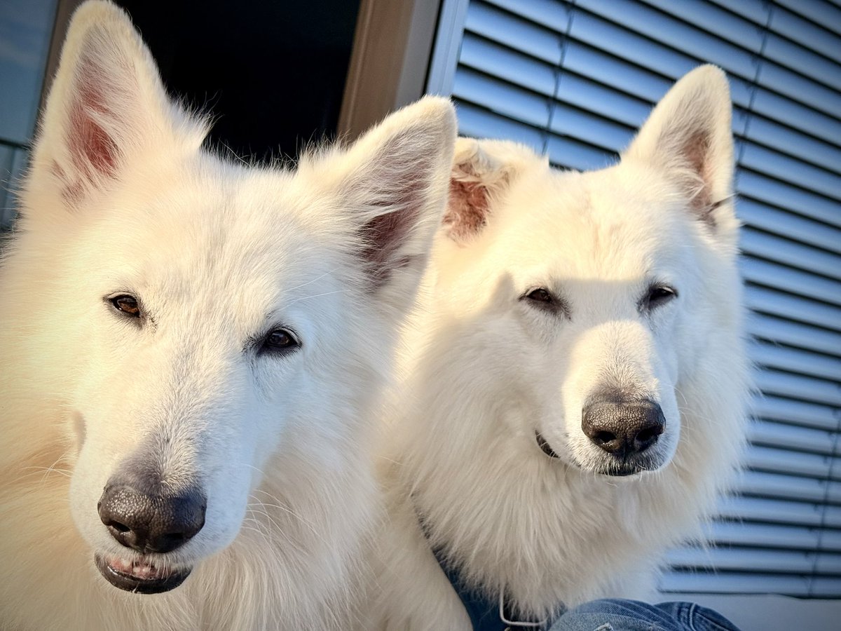 🎯Viser la Lune🍑 tweet media