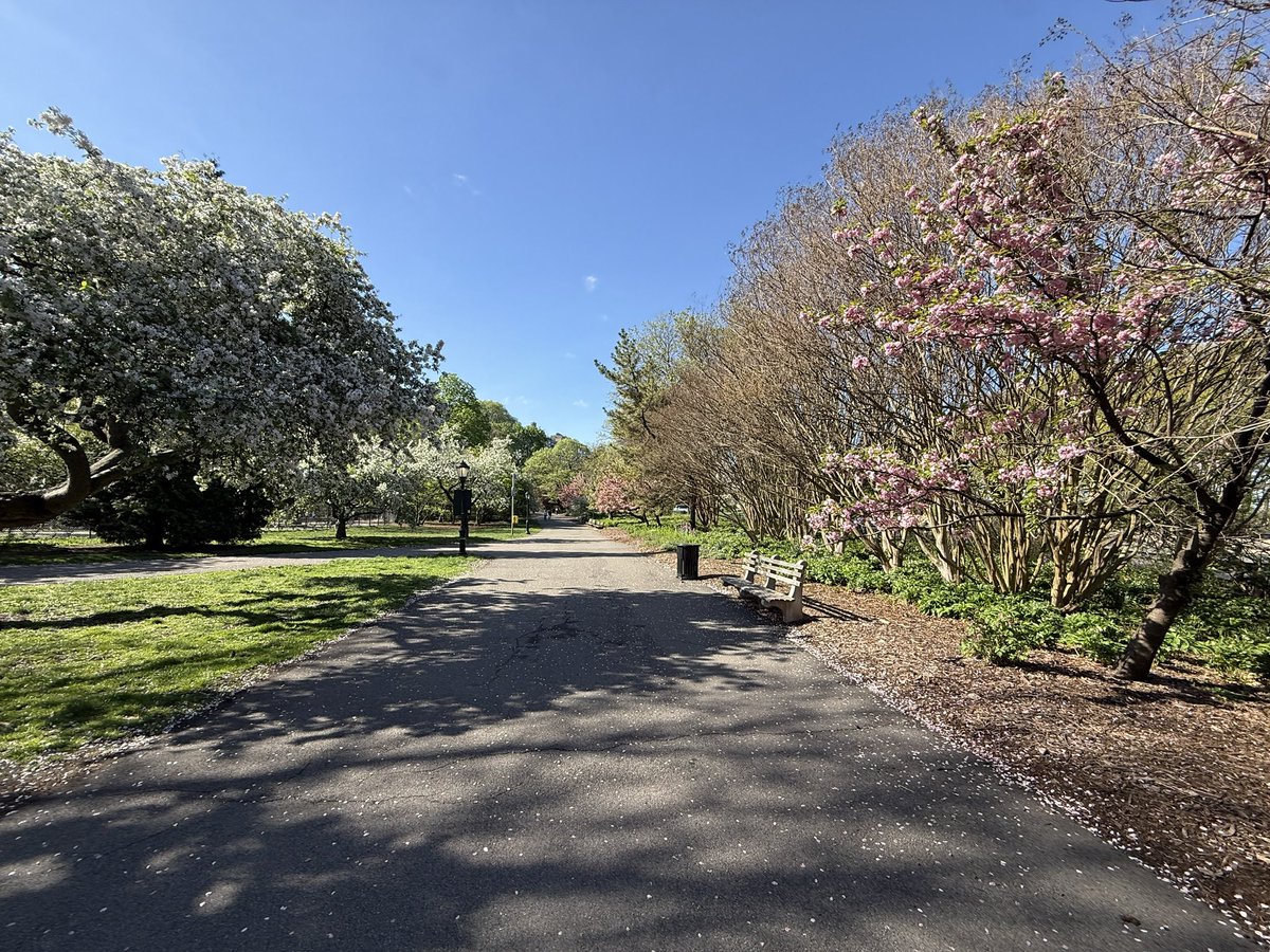SandraNavidi's tweet image. Last weekend in the super-gorgeous Hudson Riverside Park, #Manhattan, recharging my batteries for the new week. #spring #blossoms
 
Mehr zur wirtschaftlichen, politischen und gesellschaftlichen Zukunft der USA erfahren Sie in meinem Buch “Die DNA der USA: Wie tickt Amerika?,” das