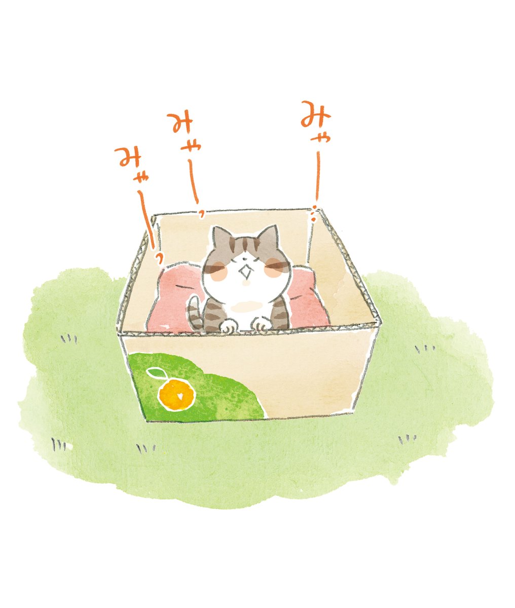 新刊おしらせ】 4月28日発売です『拾われた猫たちが教えてくれたこと