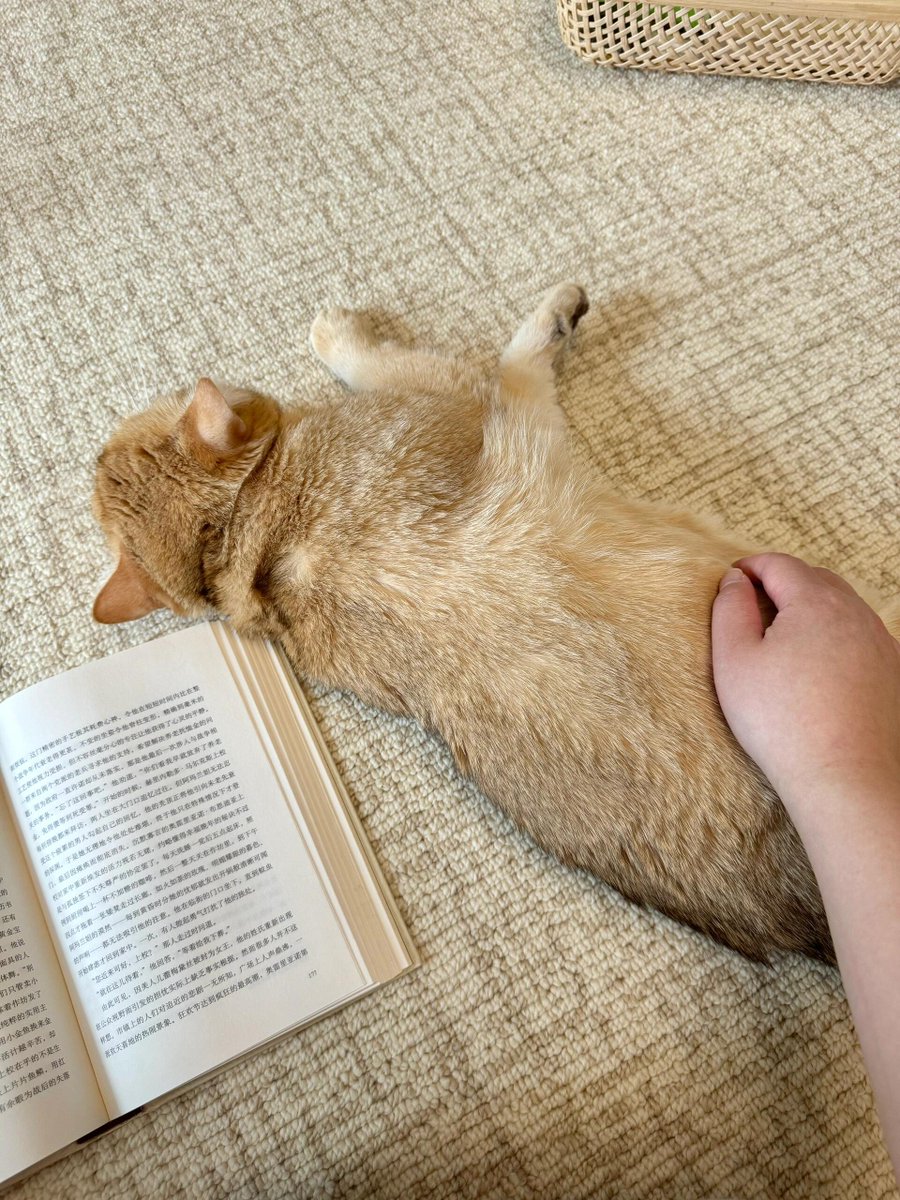 Robert Gyonos tweet media