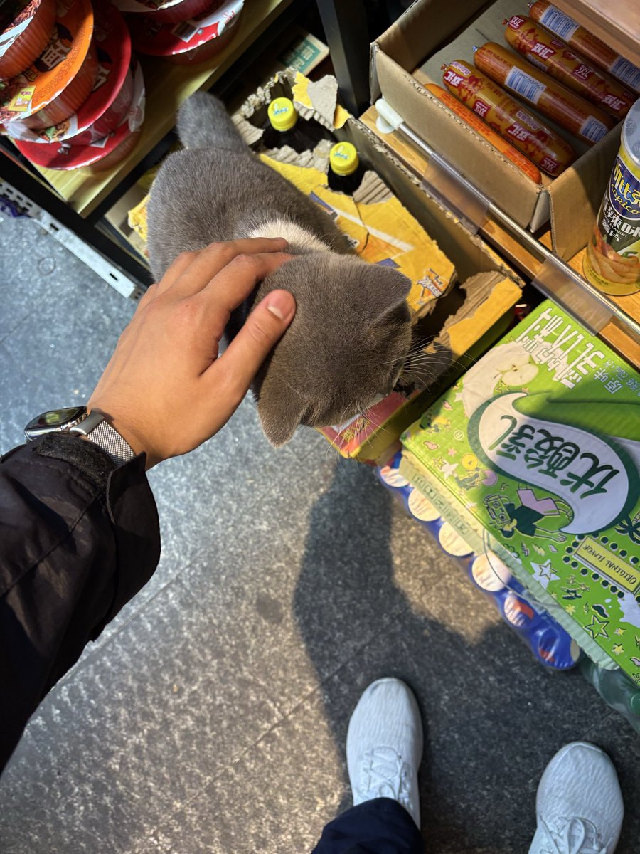 我想做长发男 tweet media