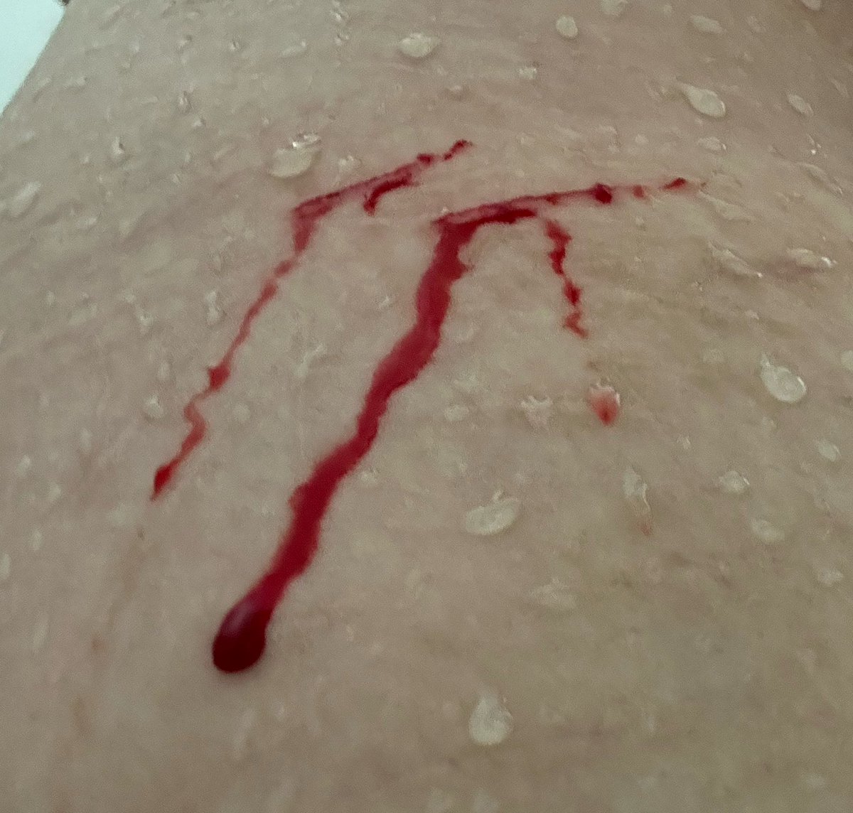mjum