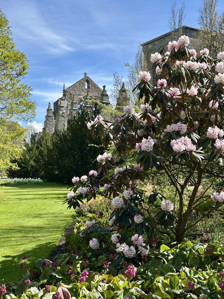 soinisan's tweet photo. Hop-on hop-off bus tour and Holyrood today. Gorgeous city 🌸🏰 https://t.co/gA1ptjI9lh