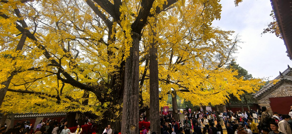 Patricia Berrocal tweet media